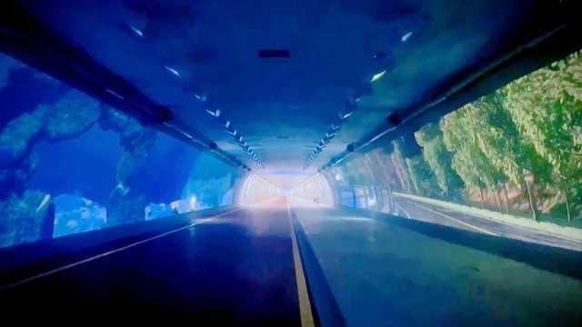 國(guó)內(nèi)最長(zhǎng)慢行景觀隧道正式開通
